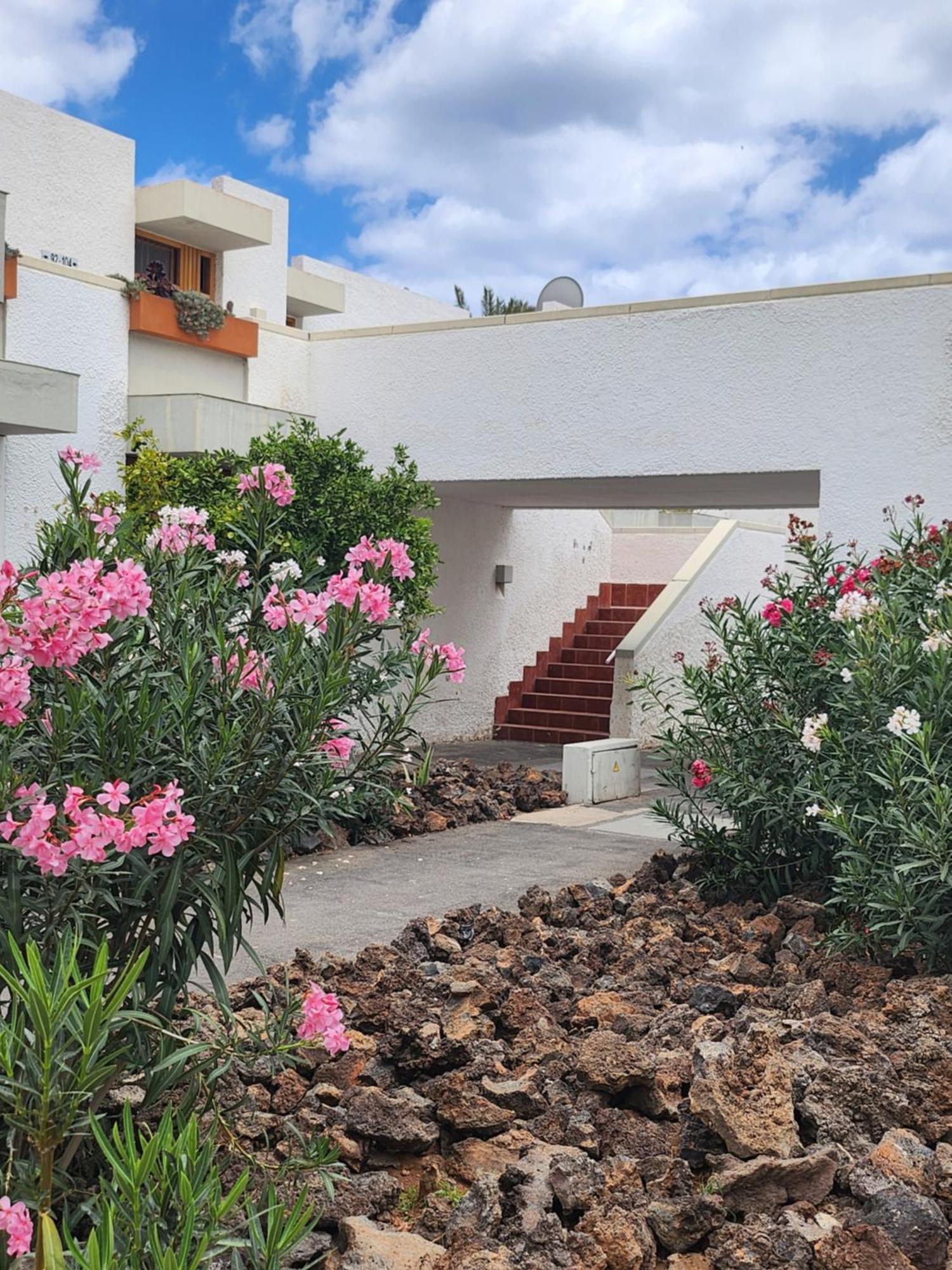 Tenerife Sunshine South Apartment Beach By La Ballena Arona  Exterior photo